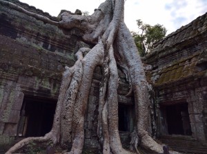 The perfunctory Angkor Wat picture.