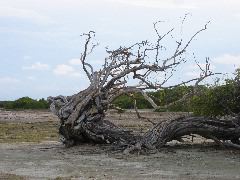 IMG_1991.JPG