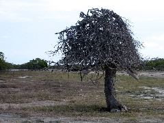 IMG_1985.JPG