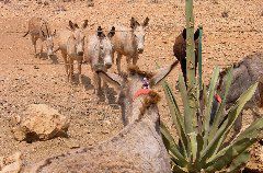 IMG_1839.JPG